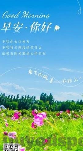 3比0足球比分-3比0，足球场上的完美交响曲，胜利者的华丽独白