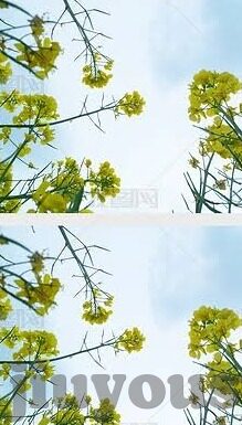 手机足球相比分-手机足球，指尖对决中的比分较量与竞技魅力