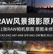 足球14场比分网-足球14场比分网，球迷的数字战场与信息狂欢