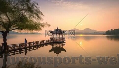 足球体坛比分网-深度揭秘，足球体坛比分网——球迷的实时数据宝藏库